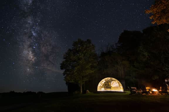Starry Skies Sanctuary - Image 2