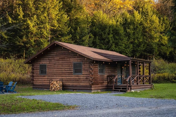 Rustic log cabin with covered porch surrounded by tall evergreen forest and gravel driveway
